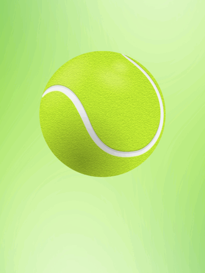 Tennis Ball Cricket