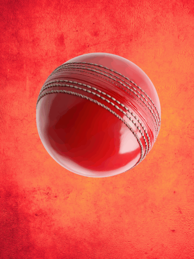 Leather Ball Cricket