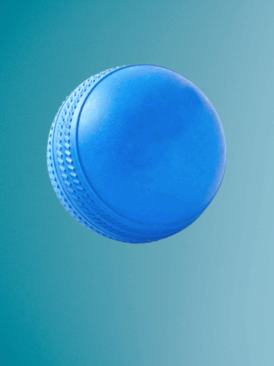 Stumper Ball Cricket